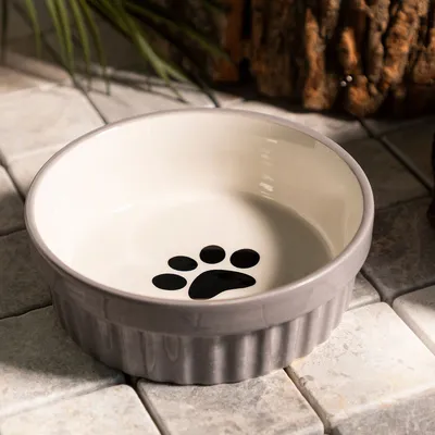 12er Set Edelstahl-Katzennäpfe Flach – 14 Cm Durchmesser, Hygienisch & Schnurrhaarfreundlich