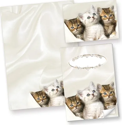 Produktbild von Motivpapier Katzen (250 Stück) Briefpapier, inkl. 3 Postkarten + Schreibblock
