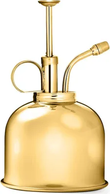 Produktbild von Pflanzenzerstäuber - 300ml Vintage Stil Premium Klassische Innenraum Sprühflasche - Dekorativer Metall Pflanzen Mister mit Top Pumpe - Bewässerungspumpe für Luftpflanzen Orchideen