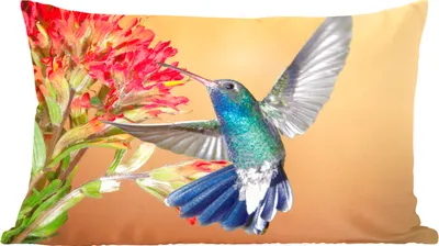 Produktbild von MuchoWow® Zierkissen Sofakissen Wohnzimmer Dekokissen 50x30 cm Vogel - Kolibri - Blumen - Wohnzimmerdekoration - Polster mit Photo