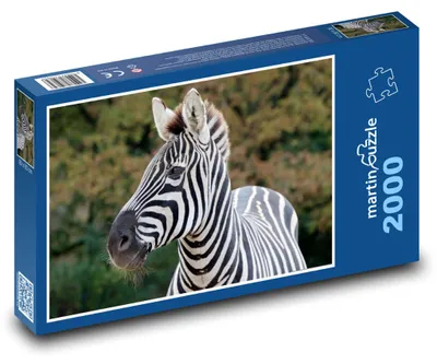Produktbild von martinpuzzle - Puzzle 2000 Teile - Zebra
