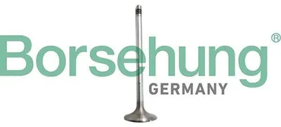 Produktbild von Borsehung B10327 Einlassventil für VW Golf VII Schrägheck (5G1, BQ1, BE1, BE2)