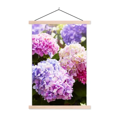 Produktbild von MuchoWow® Textilposter Blumen - Hortensie - Rosa - Blätter - Sonne 120x180 cm mit holzfarbenen Rahmen - Textil-Plakat