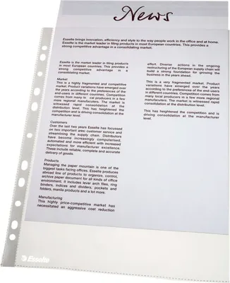 Obrázok produktu pre Esselte Leitz 5606600 - A4 - 100 Stück(e)