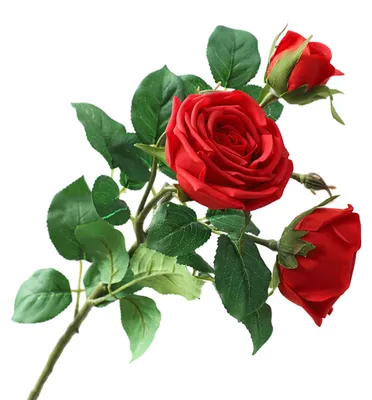 Produktbild von Künstlicher Blumenstrauß mit 3 Stielen, 2 Blütenköpfen und 1 Knospe – täuschend echt wirkender Rosenzweig für Hochzeiten, Zuhause, Büro und Tischdekoration