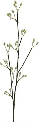 Produktbild von artplants.de Dekozweig Weidenkätzchen NAYONG mit Blüten, Creme, 80 cm - Blütenzweig künstlich
