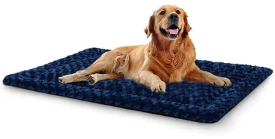 Produktbild von Waschbare Hundematte XL 106x71 cm Blau für Große Hunde