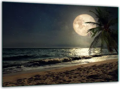 Image de Plaques de recouvrement en verre pour cuisinière Planche à découper universelle 30x22cm plage