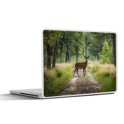 Produktbild von MuchoWow® Laptop Aufkleber Sticker Cover Wald - Hirsche - Bäume 30x21 cm - Sticker für Laptop - Selbstklebend