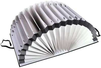 Immagine prodotto di Exacompta 61550B Raccoglitore a scomparti A-Z, 20 scomparti, formato DIN A4, cartoncino riciclato nero