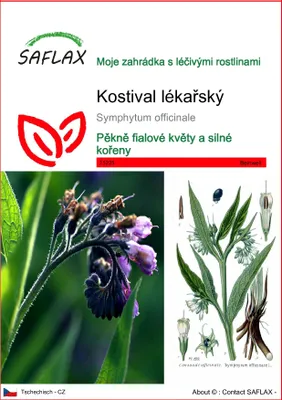 Obrázek produktu pro Komonice lékařská - Semena léčivé rostliny 15 semen - Symphytum officinale