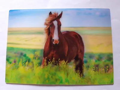 Produktbild von 3 D Ansichtskarte braunes Pferd, Pferde Postkarte Wackelkarte Hologrammkarte, Tier Pony