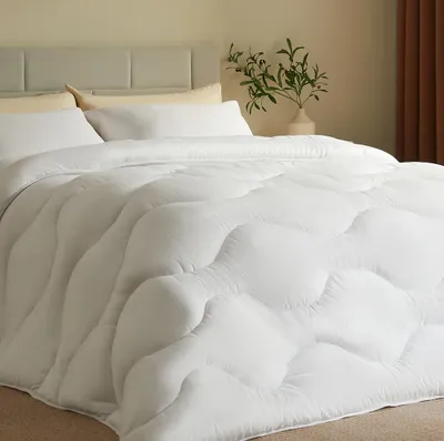 Immagine prodotto di CASABEL Piumino Invernale Molto Caldo, 700g/m², 240x260cm, Bianco