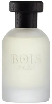 Zdjęcie produktu dla Bois 1920 Classic 1920, Unisex, 100 ml, Perfumy w płynie, Bergamotka, Gałka muszkatołowa, Bazylia, Morela, Jaśmin, Różowy, Osmantus, Jagody jałowca, Lawenda, Drzewo sandałowe, Bursztyn, Drzewo cedrowe, Wetiwer