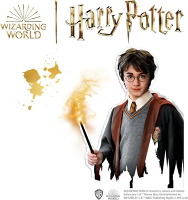 Produktbild von SES Harry Potter Malen nach Stein 09341 93419