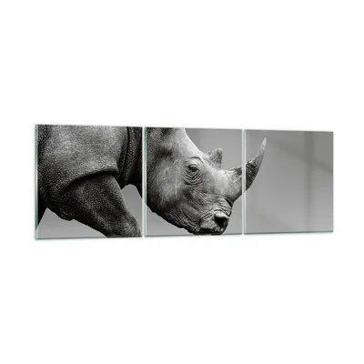 Produktbild von Bilder auf glas - 3 Teile - Nashorn Monochrom Tier - 120x40cm - Glasbilder - Wandbilder - Bilder - zum Aufhängen bereit - Wanddekoration aus Glas - Glas Bilder - Wandbild auf Glas - GCA120x40-4954