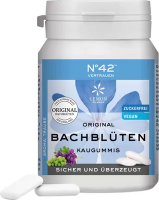 Obrázek produktu pro Žvýkačky na posílení sebevědomí podle Dr. Bacha 40 ks