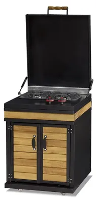 Produktbild von Außenküchenmodul aus Holz in Braun für Garten und Terrasse