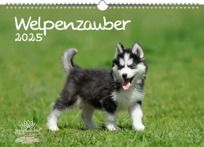 Produktbild von Welpenzauber DIN A3 Kalender für 2025 Hunde Welpen - Seelenzauber