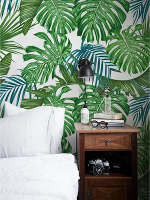 Produktbild von Coloray Fototapete 152x104 cm Latextapete Magicstick - Minty Monstera Wald empfindlich