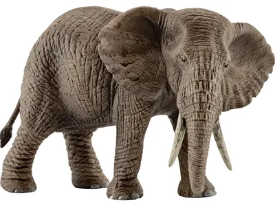 Immagine prodotto di Schleich schleich® Wild Life - 14761 Mucca elefante africana, da 3 anni 14761