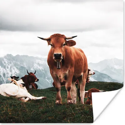 Produktbild von MuchoWow® Poster Tiere - Kuh - Berg 100x100 cm - Babyzimmer