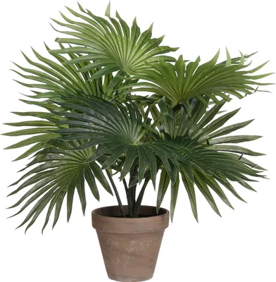 Produktbild von Mica Kunstpflanze Palme grün im Topf 40 cm