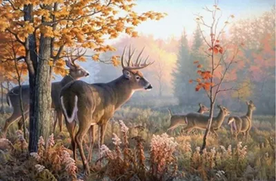 Produktbild von Diamantmalerei: Hirsch im Morgennebel, 30 x 40 cm