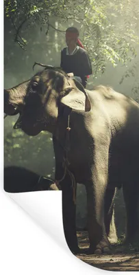 Produktbild von MuchoWow® Wandtattoo Wandsticker Wandaufkleber Elefant - Wald - Bäume - Tiere - Trainer 80x160 cm Selbstklebend und Repositionierbar - Sticker - Dekorfolie