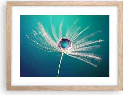 Produktbild von Gerahmtes Poster - Rahmen in heller Eiche - Pflanze Natur - 40x30 cm - Wand Bild - Wanddeko - Wandbilder - Kunstposter - Wandposter - Bilderrahmen - Bilder - Kunstdruck - Wandbild - P2NAA40x30-3991