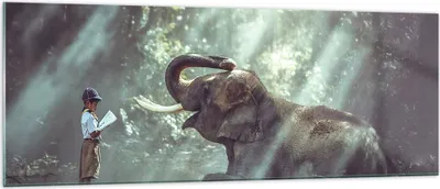 Produktbild von Bilder auf glas - Elefant Dschungel Stoßzahn - 140x50cm - Glasbilder - Wandbilder - Kunstdruck - zum Aufhängen bereit - Wanddekoration aus Glas - Glas Bilder - Wandbild auf Glas - GAB140x50-3486
