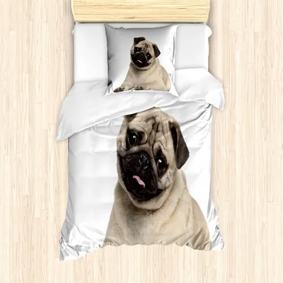 Produktbild von ABAKUHAUS Mops Mantele, Junge Welpen, die auf Fußboden, Milbensicher Allergiker geeignet mit Kissenbezügen, 135 cm x 200 cm - 80 x 80 cm, Pale Braun Schwarz