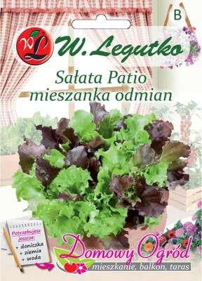 Zdjęcie produktu dla Sałata głowiasta Patio Legutko