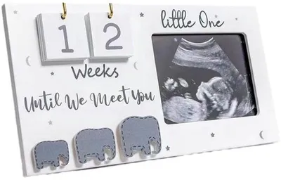 Baby Echoframe 24x12,7cm - Foto mit Countdown-Kalender und wechselbarem Passepartout