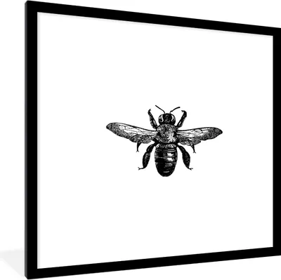 Produktbild von MuchoWow® Gerahmtes Poster Biene - Insekt - Vintage - Schwarz und weiß 40x40 cm - Poster mit Schwarzem Bilderrahmen Wandposter Rahmen Foto Bilder - Poster - Plakat im Rahmen