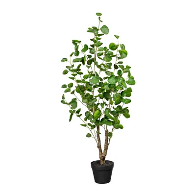 Produktbild von Kunstpflanze Fliederaralie Höhe: 110 cm grün