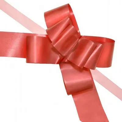 Immagine prodotto di Nastri, fiocchi, 5 cm, 10 pezzi, rosso