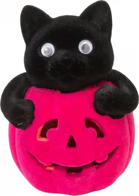 Produktbild von Kätzchen im pinken Halloween Kürbis 11 cm