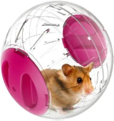 Image de Mini-roue d'exercice pour hamster 48 pouces (rose)