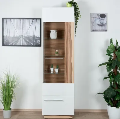 Produktbild von Vitrine "Tinlot" 02, Türanschlag Rechts, Weiß / Walnuss - Abmessungen: 193 x 55 x 40 cm (H x B x T)