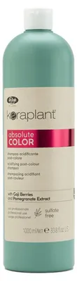 Produktbild von Lisap Keraplant Absolute Post-Color Acidifying Shampoo 1000ml