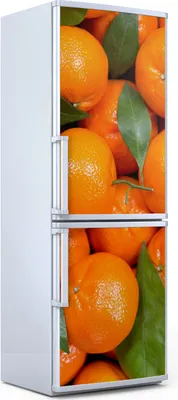 Produktbild von Magnete Dekorative - 70 cm x 190 cm - Küche - Magnetmatte Kühlschrankmagnete - Farblich Früchte
