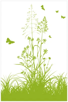 Produktbild von Wallario Wandbild aus Acryl, 90 x 60 cm, freischwebende Optik - Grüne Sommerwiese