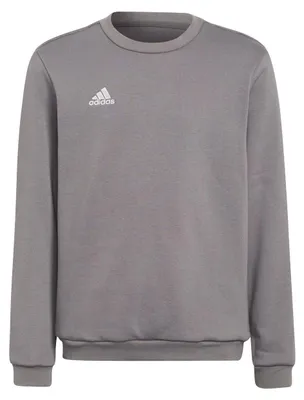 Produktbild von adidas Entrada 22 Sweatshirt 152 TEGRFO