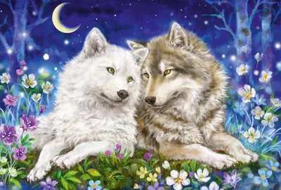 Image de Schmidt Spiele KIPU200T Amis loups tout doux 0 0 STK