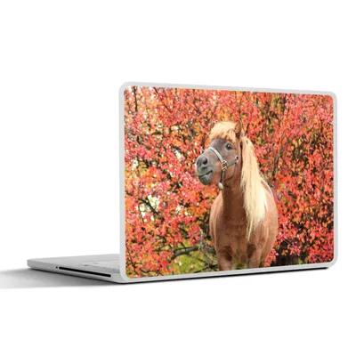 Produktbild von MuchoWow® Laptop Aufkleber Sticker Cover Pferd - Pony - Herbstblätter 30x22 cm - Laptop-Sticker