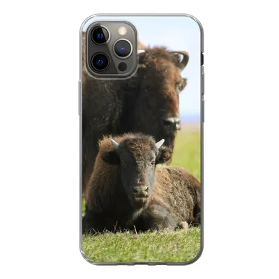 Produktbild von MuchoWow® Handyhülle Schutzhülle Hülle für iPhone 13 Pro Büffel - Gras - Kalb Silikon Softcase Handy Hülle - Handy-Tasche