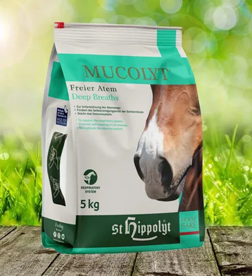 Produktbild von St. Hippolyt Mucolyt Atemwegskur | 5 kg Eimer