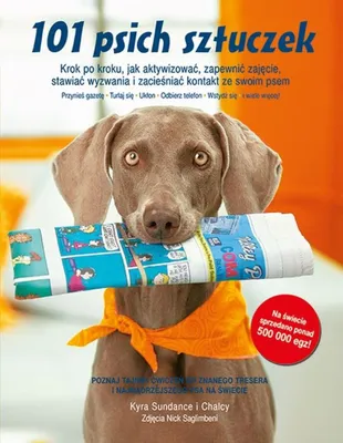 Productafbeelding van 101 Hundetricks Schritt für Schritt: So aktivieren Sie Ihren Hund