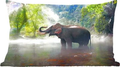 Produktbild von MuchoWow® Zierkissen Sofakissen Wohnzimmer Dekokissen 50x30 cm Elefant - Wasser - Natur - Wohnzimmerdekoration - Polster mit Photo